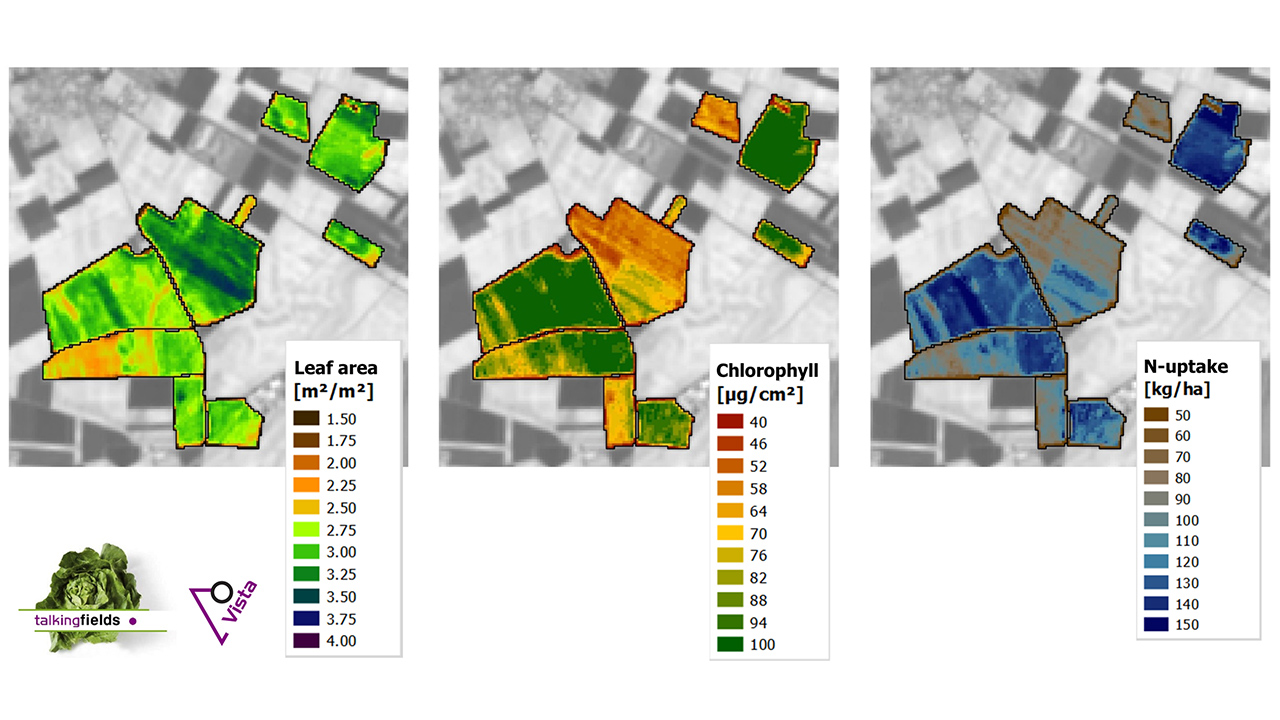 Auf drei Karten ist die Blätterdichte, Chlorophyllgehalt und Stickstoffaufnahme der Pflanzen auf einem Feld angegeben.
